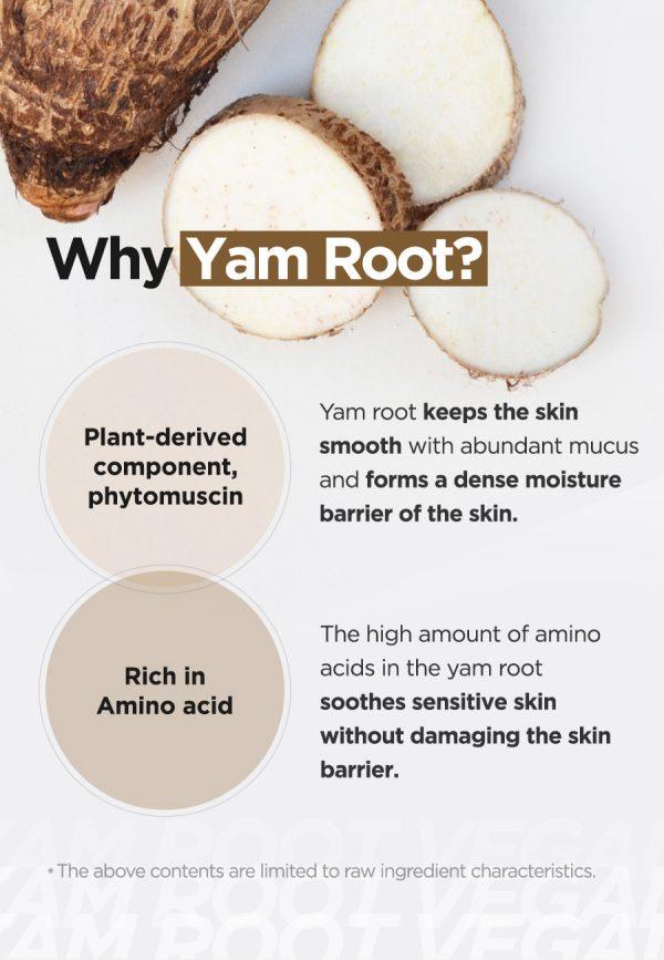 Benefits of Isntree - Yam Root Vegan Milk Toner dreamskinhaven