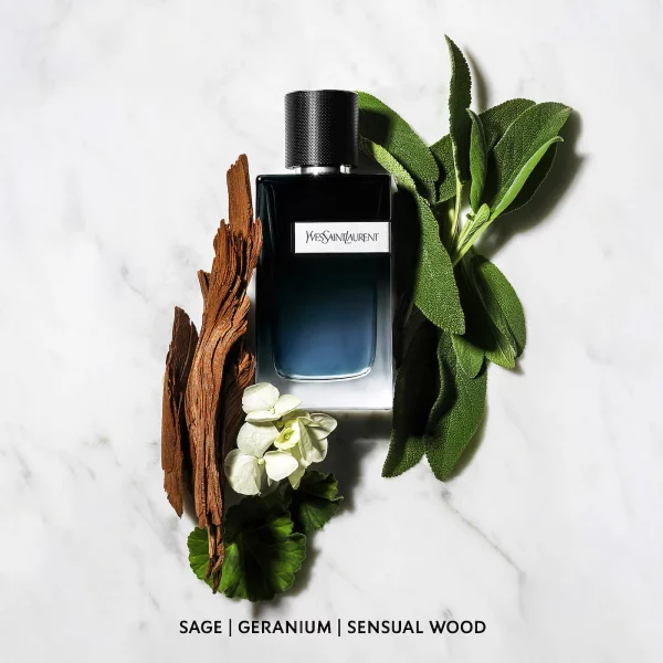 Yves Saint Laurent Y Eau de Parfum dreamskinhaven