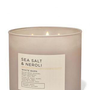 White Barn Sea Salt & Neroli 3-Wick Candle Dreamskinhaven