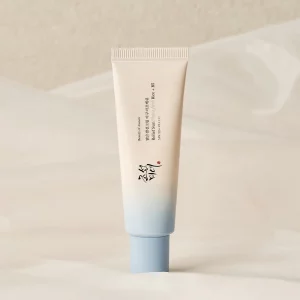 Beauty of Joseon Relief Sun Aqua-fresh with SPF 50+ PA++++ Dreamskinhaven