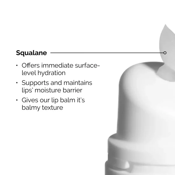 The Ordinary Squalane + Amino Acids Hydrating Lip Balm Dreamskinhaven